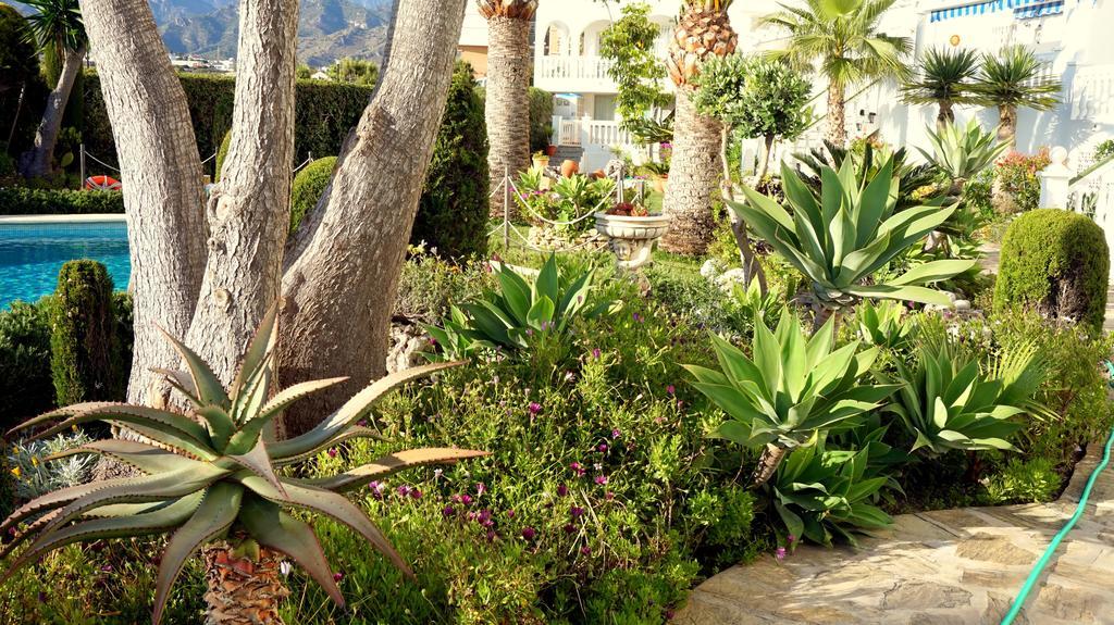 Apartamentos Starnerja En Stella Maris Rom bilde